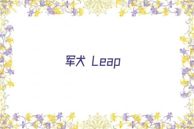 军犬 Leap剧照